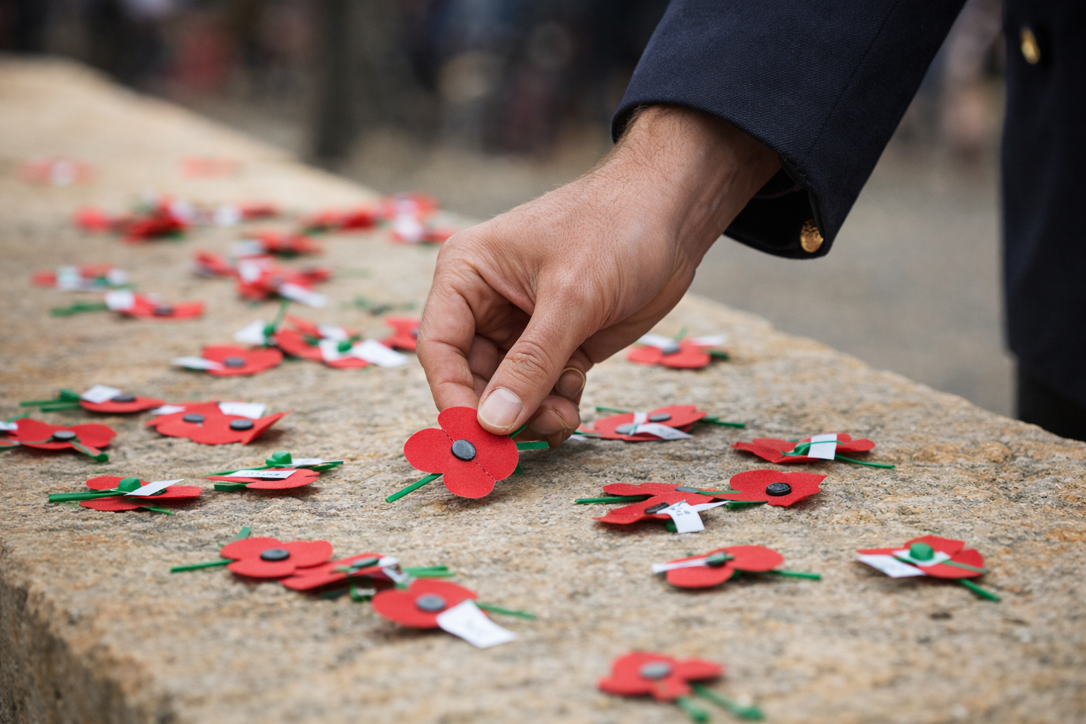 A hand holds a red remembrance poppy
